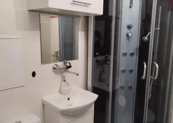 Daire Self Check-in Lotnisko Blisko Stadion Targi Szpitale I Uczelnie Poznan